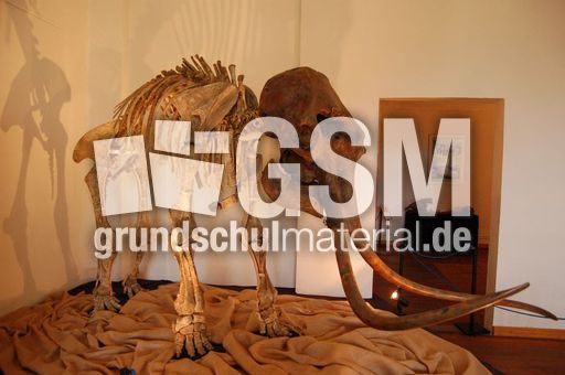Mammut_1.JPG